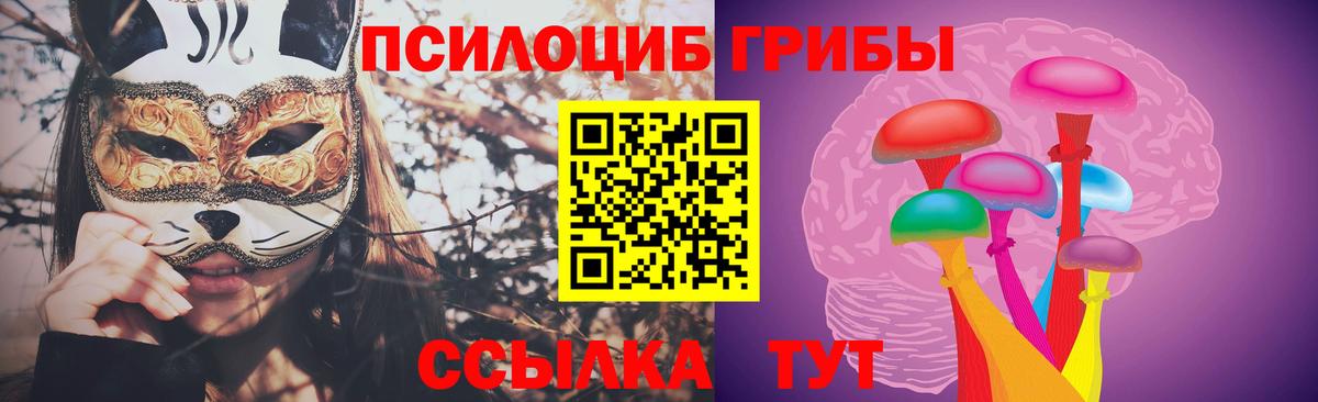 Шелехов  Псилоцибиновые грибы Psilocybine cubensis  сколько стоит  Вход с VPN  Галлюциногенные грибы мухоморы 